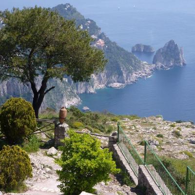 2010  Capri