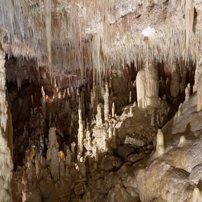 1 juin - Grottes de Castellana 