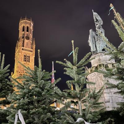 Beffroi Médiéval